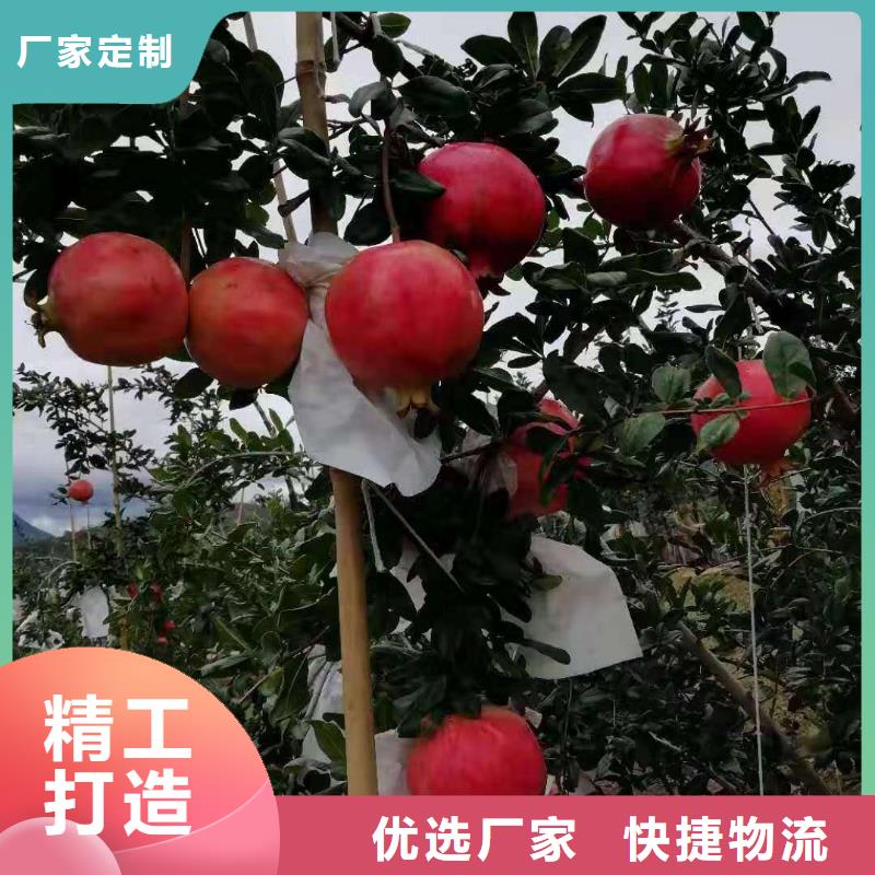 石榴-石榴售后保障本地品牌