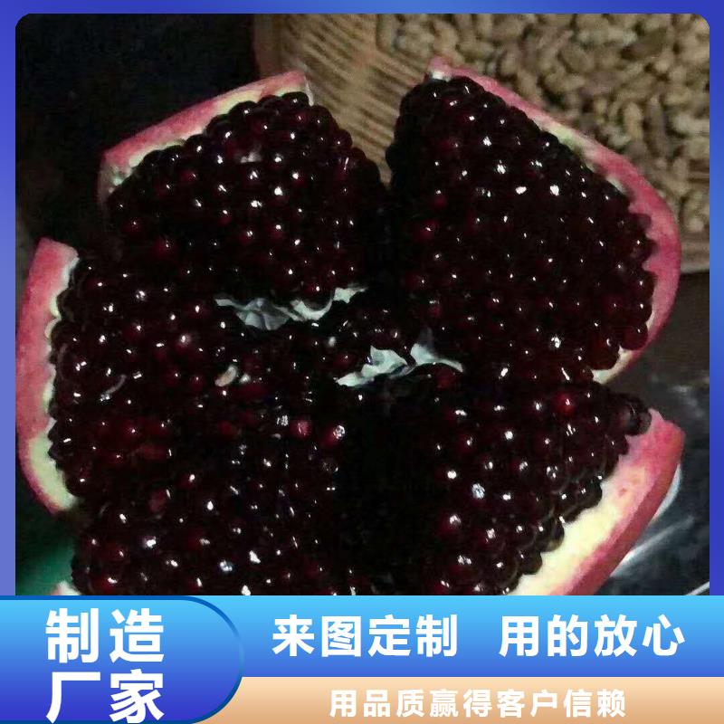 石榴-存貨充足