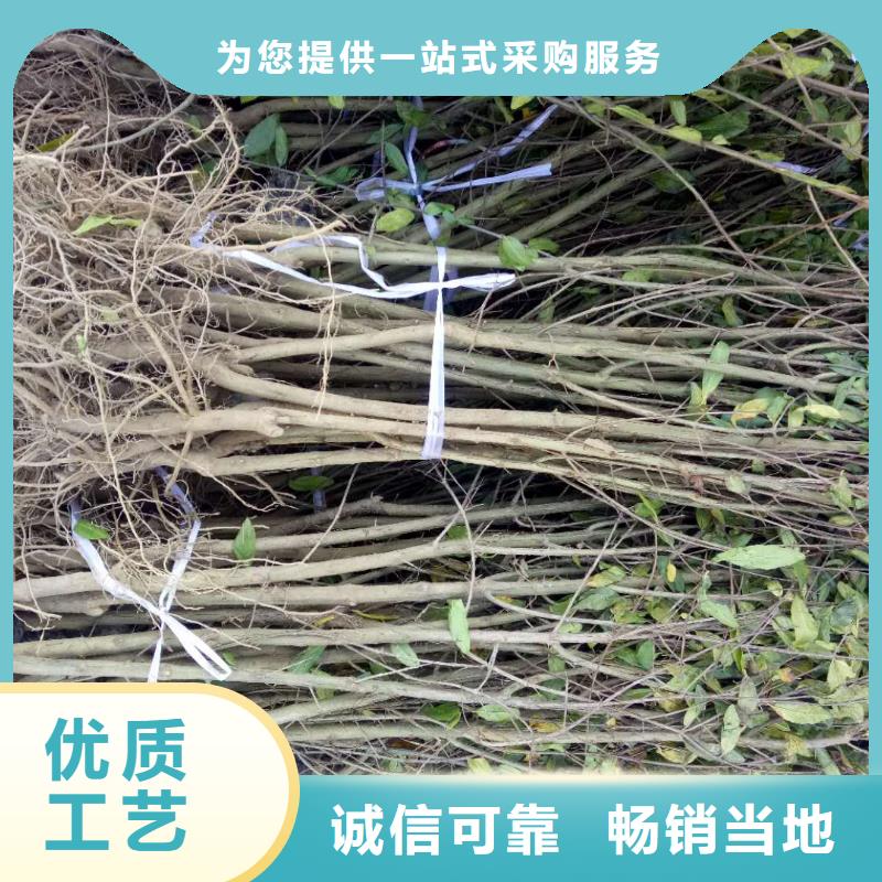 石榴好品質(zhì)看的見(jiàn)品質(zhì)過(guò)硬