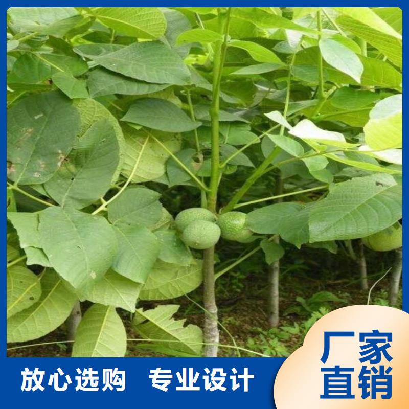 支持定制的核桃公司