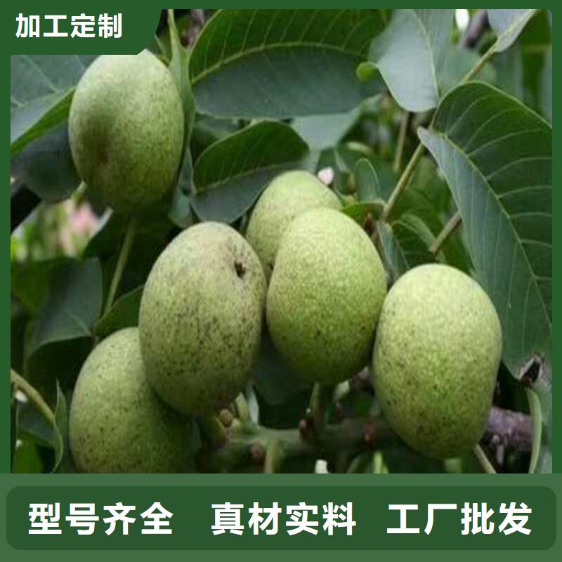 核桃現(xiàn)貨供應(yīng)甄選好物