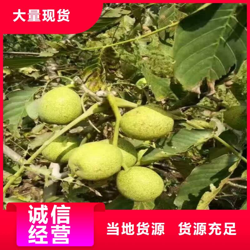 核桃質(zhì)量穩(wěn)妥同城服務(wù)商