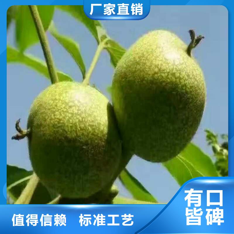 核桃廠家