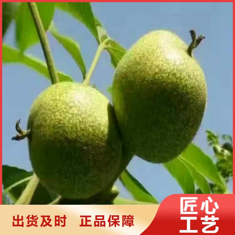 價(jià)格低的核桃實(shí)體廠家