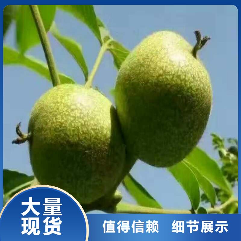 核桃-我們是廠家！