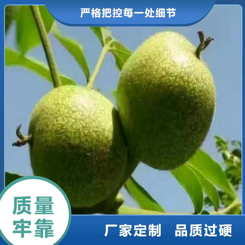 核桃大型廠家
