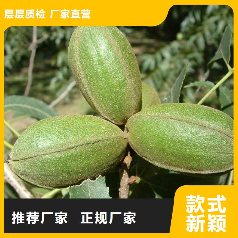 核桃口碑評價