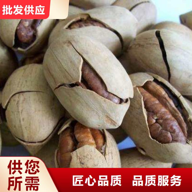 核桃多家合作案例