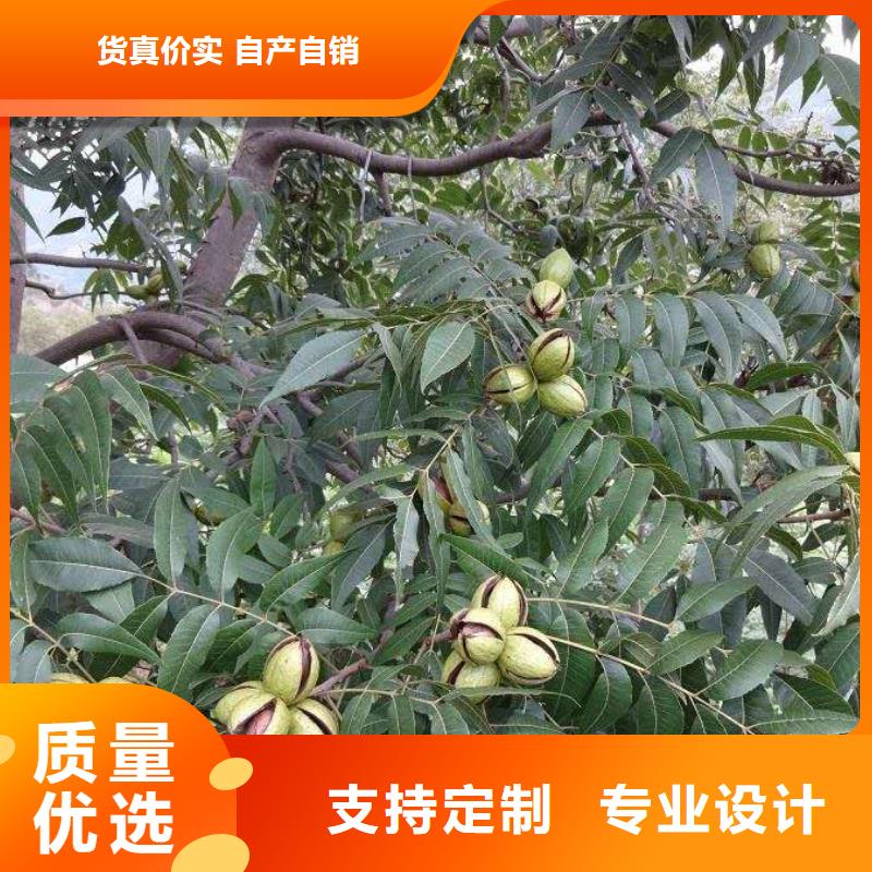 供應(yīng)核桃_廠家/供應(yīng)