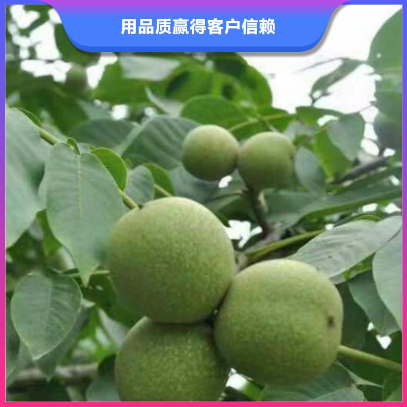 核桃期待您的來(lái)電優(yōu)選好材鑄造好品質(zhì)