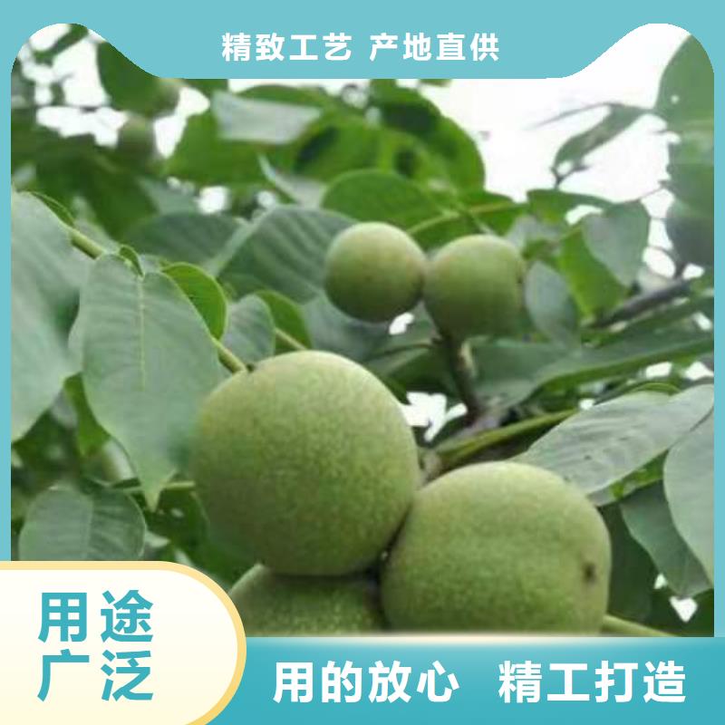 供應(yīng)核桃_廠家/供應(yīng)