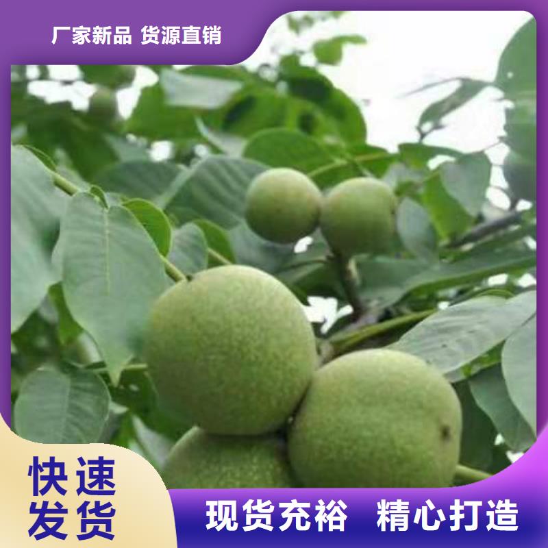 核桃-信譽可靠