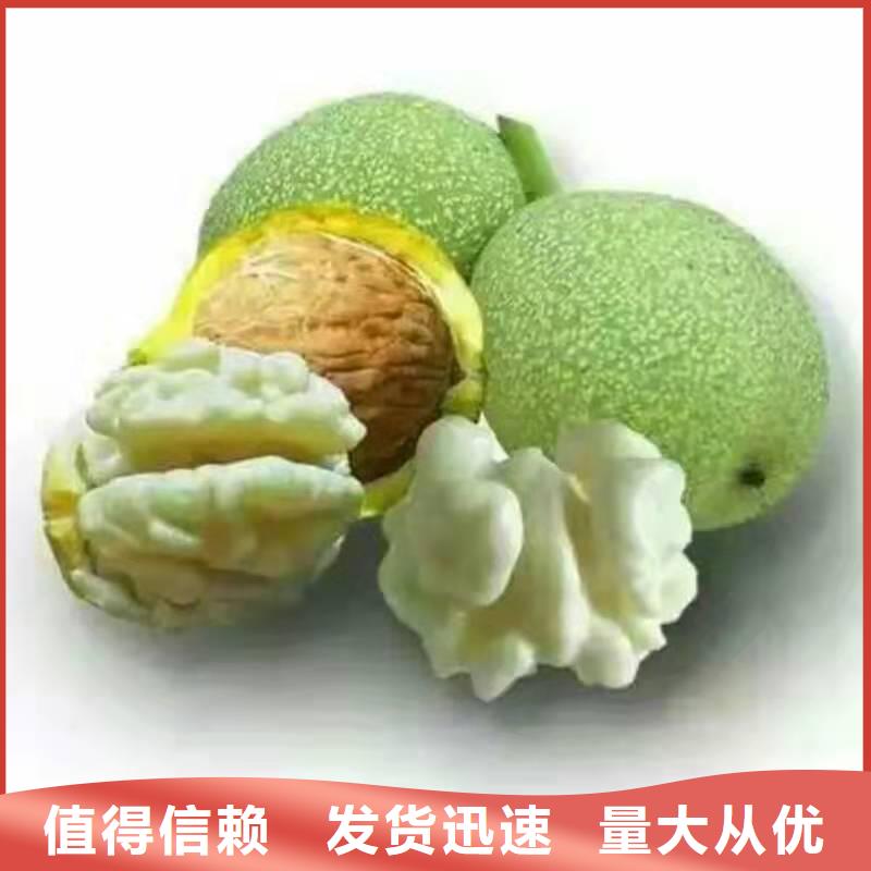 核桃廠家熱銷