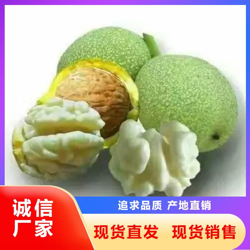 經(jīng)驗(yàn)豐富的核桃供貨商同城生產(chǎn)廠家