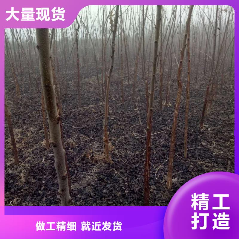 買的放心-核桃廠家