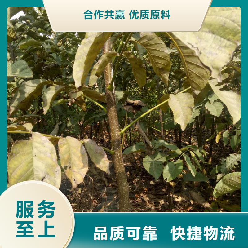 買核桃必看-規(guī)格全