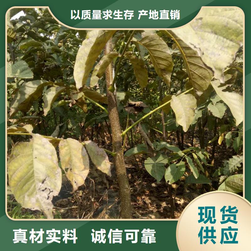 核桃-多年大廠一站式采購(gòu)方便省心