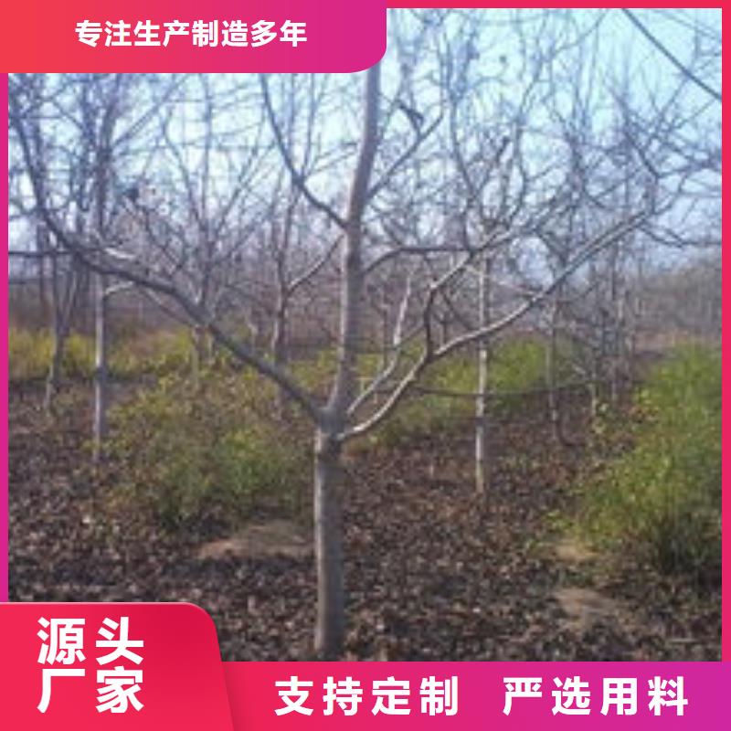 服務(wù)周到的核桃公司