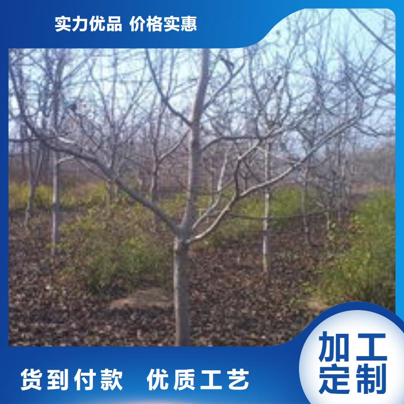 可定制的核桃供貨商