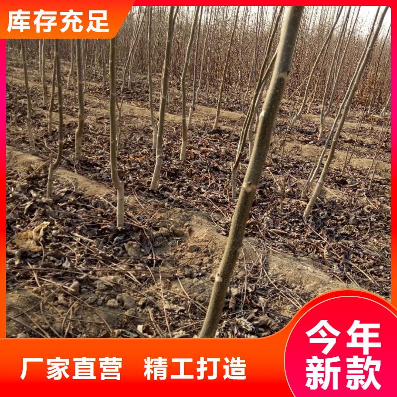 供應批發(fā)核桃-省心