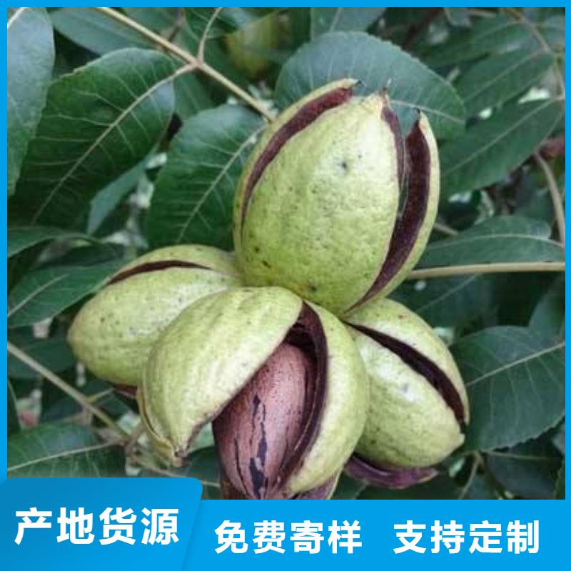 核桃適用范圍