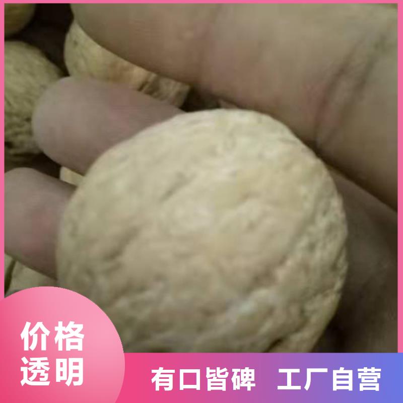 核桃總部