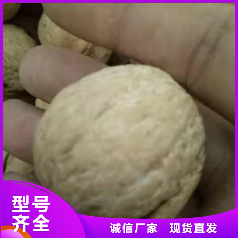 核桃常年現(xiàn)貨
