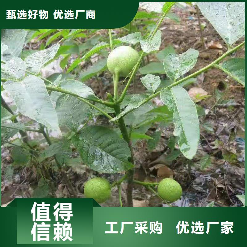核桃-薄利多銷同城服務(wù)商
