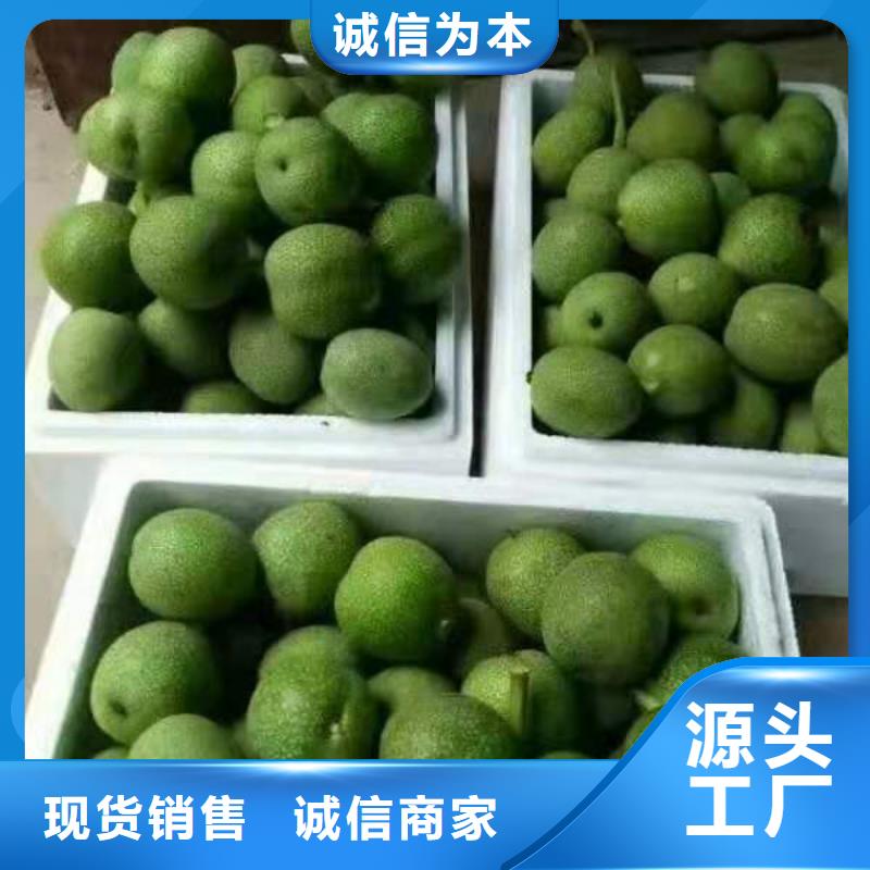 核桃公司報(bào)價(jià)