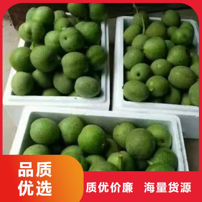 采購核桃必看-專業(yè)品質(zhì)放心得選擇