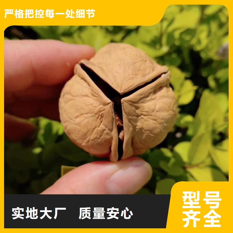 核桃暢銷全國本地供應(yīng)商