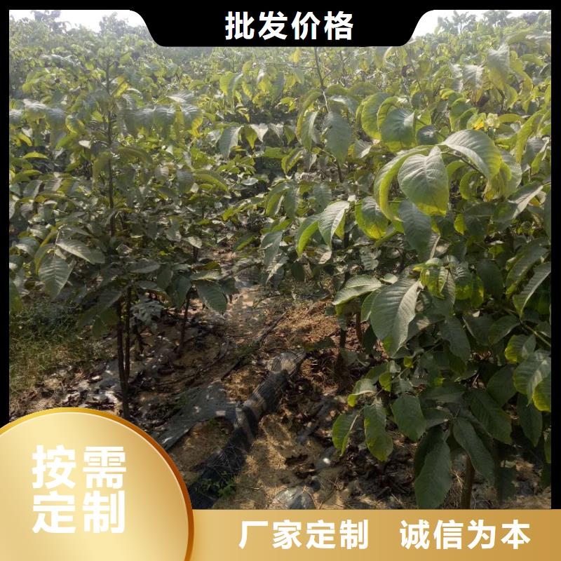 核桃供應(yīng)商價格