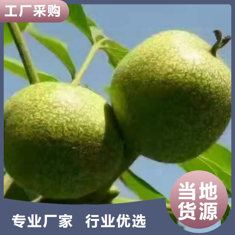 供應(yīng)核桃_品牌廠家當(dāng)?shù)厣a(chǎn)商