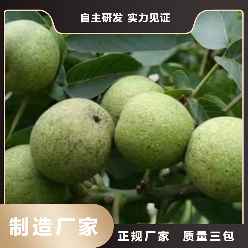 核桃-購(gòu)買(mǎi)省心精心