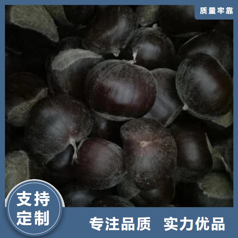 供應(yīng)板栗的廠家