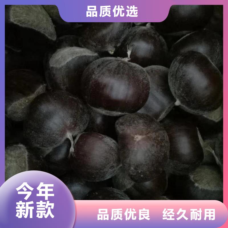 板栗品質商家貼心服務