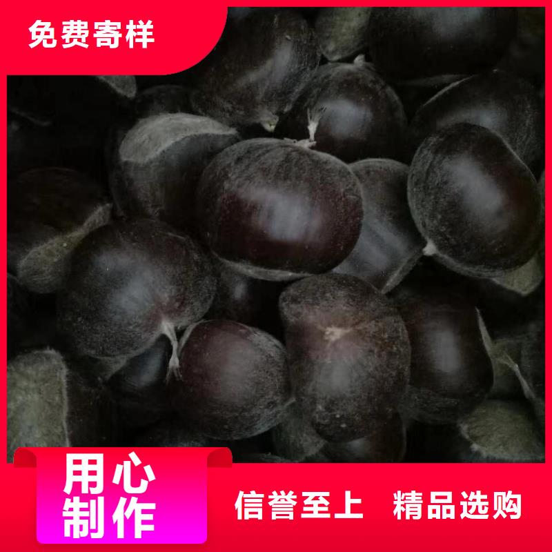 板栗工廠(chǎng)直供