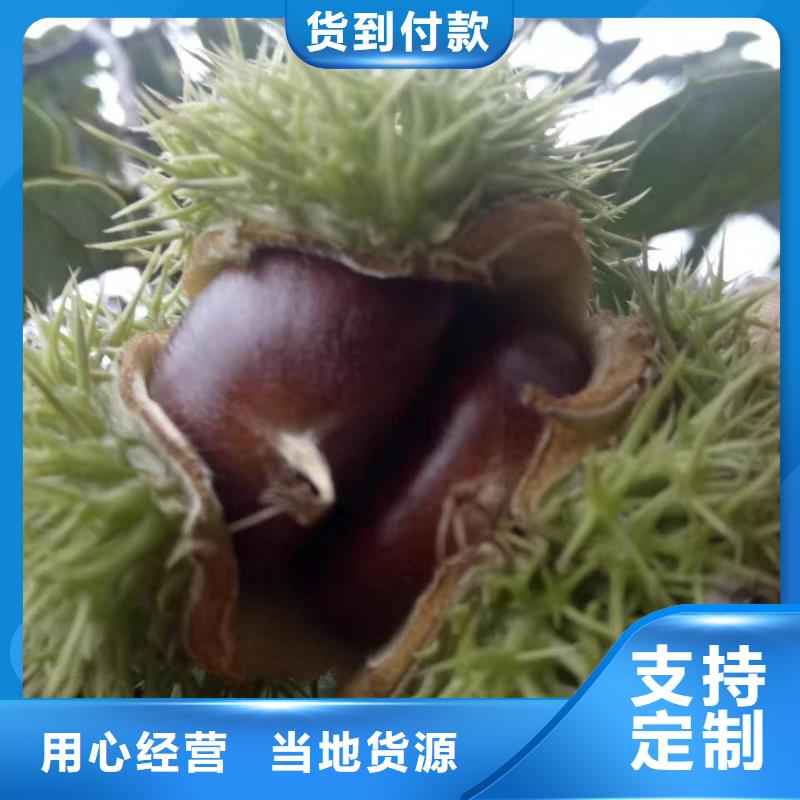 板栗生產(chǎn)銷(xiāo)售