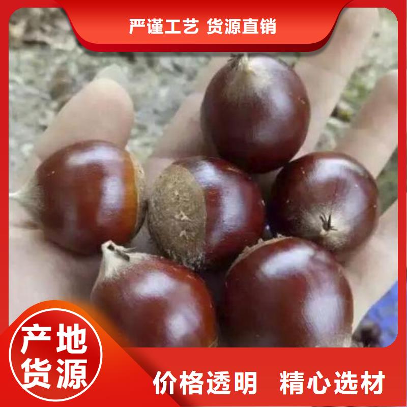 板栗現(xiàn)貨價(jià)格用心細(xì)節(jié)