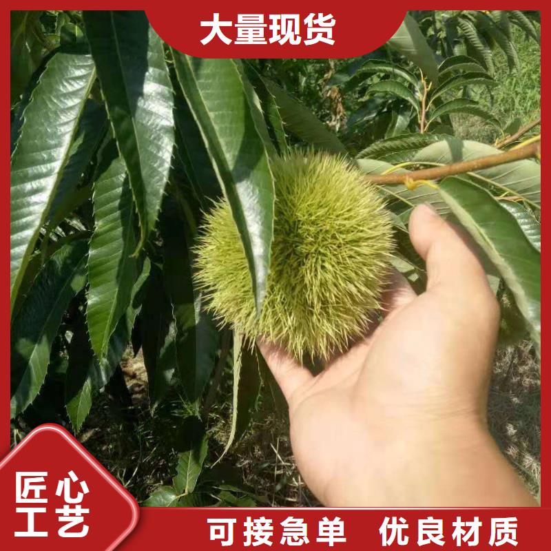 板栗大企業(yè)好品質