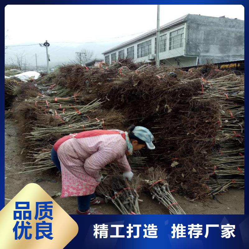 板栗質(zhì)量放心當(dāng)?shù)仄放?>
                    <h3>板栗質(zhì)量放心當(dāng)?shù)仄放?/h3>
                </div>
            </a>
        </li>
              <li>
            <a href=