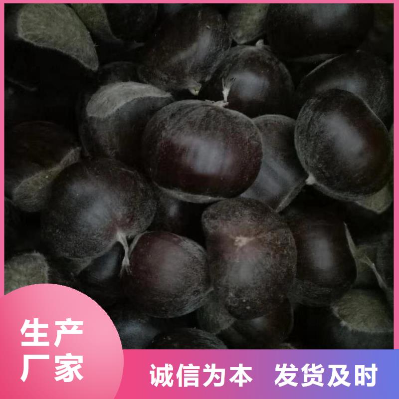 板栗周期短價(jià)格優(yōu)安心購(gòu)