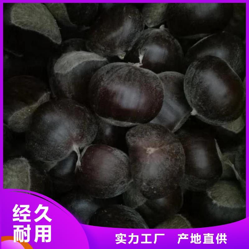 價(jià)格低的板栗供應(yīng)商