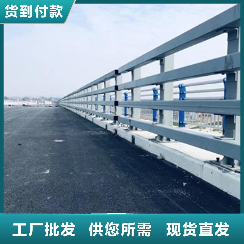 防撞護(hù)欄廠家數(shù)十年行業(yè)經(jīng)驗(yàn)可定制