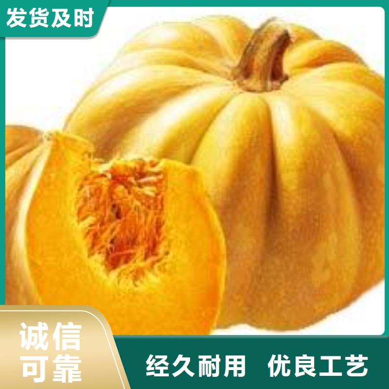 采購(gòu)南瓜粉必看-圖文介紹實(shí)力派廠家