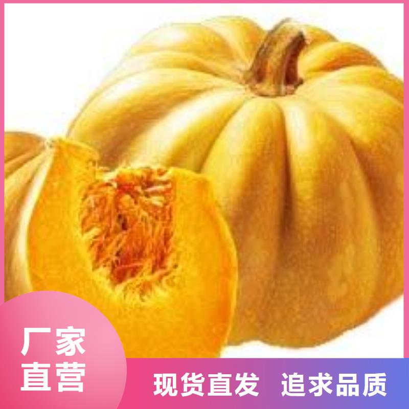南瓜粉質(zhì)量上乘實(shí)力商家供貨穩(wěn)定