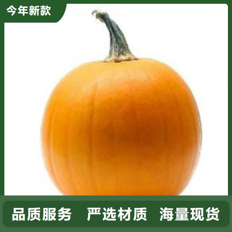 快速:南瓜粉廠家
