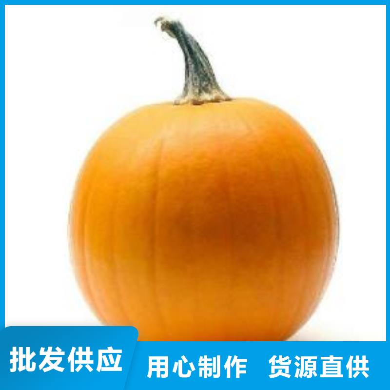 服務(wù)周到的南瓜粉廠家