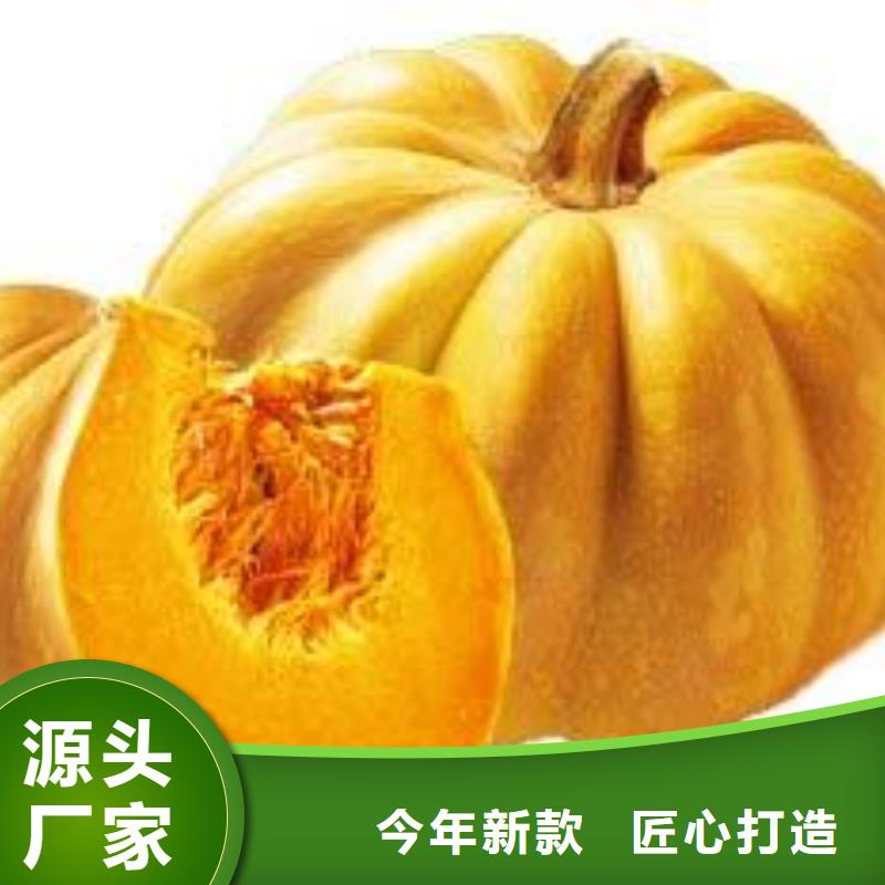 南瓜粉生產廠家_10年經驗