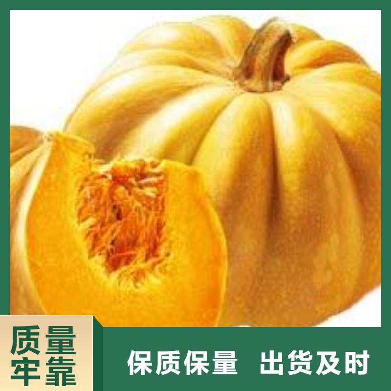 南瓜粉貼心售后多種款式可隨心選擇